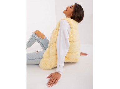 Gilet jaune clair